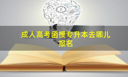 駐馬店成人高考專升本在哪里報名？